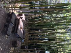 竹里馆-新竹里馆·花园餐厅(兴苑路店)
