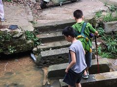 -凤栖山