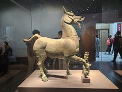 -广西壮族自治区博物馆