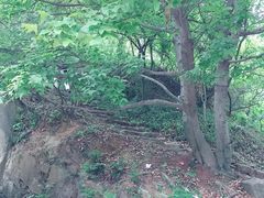 -惠山国家森林公园