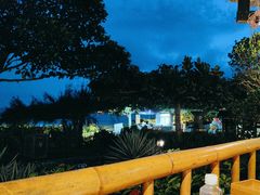 -渔家火锅·海鲜自助餐·演艺(亚龙湾天域酒店)
