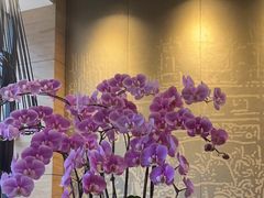 -上海静安铂尔曼酒店
