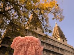 -北京石刻艺术博物馆(五塔寺)