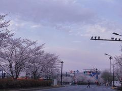 -雅鲁激流探险漂流