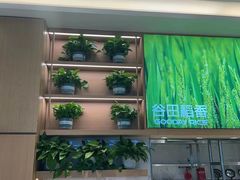 -谷田稻香(虹桥二店)