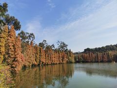 -星湖旅游景区七星岩