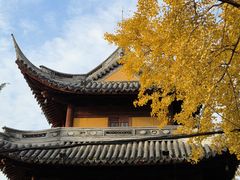 -龙华素斋(龙华路店)