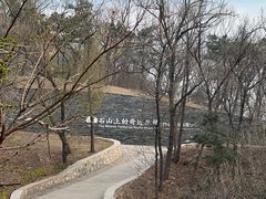 -北京西山国家森林公园