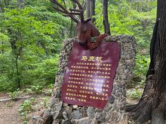 -香炉山国家森林公园
