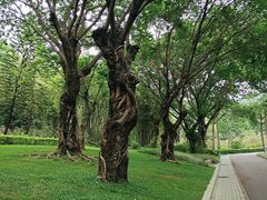 -云溪植物园