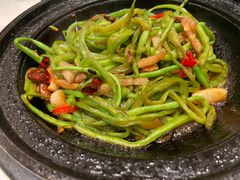 老济南砂锅芸豆丝-梅飞酒家(桑园路店)