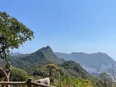 -狮子山郊野公园