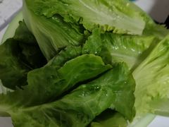 -原野牛肉岛