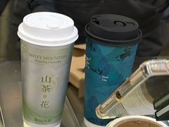 -雾与山茶(大禹城店)