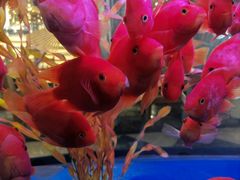 -玲珑汤泉生活会馆(花桥店)