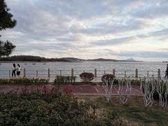 -琴岛之星摩天轮