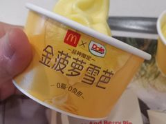 -麦当劳(季华好又多店)