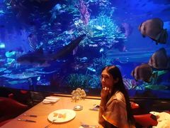 -迪拜帆船酒店海底餐厅