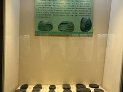 -安徽省地质博物馆