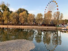 -二一九公园