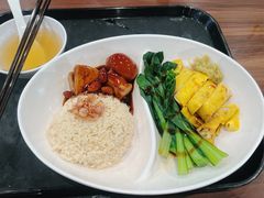 -新加坡飞禽公园