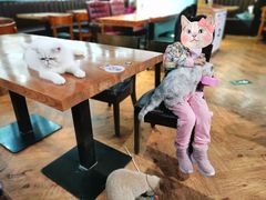 -猫小院猫主题餐厅(三里屯店)