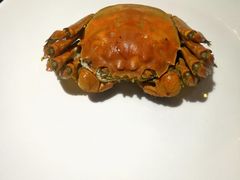 -铁板诱惑法式铁板烧(大卫城店)