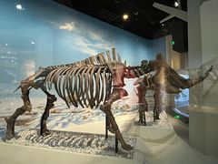 -国家自然博物馆