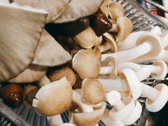 -东椰·海南椰子鸡火锅(朝阳门店)