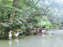 -兰亭风景区