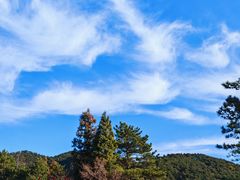 -庐山风景区花径公园