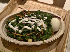 -油梨树 AVOCADO TREE(亮马桥店)