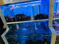 -海鲜皇宫(景泰翰林店)