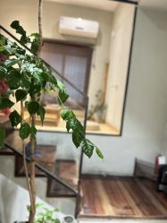 -香秀空间科技抗衰·美容中心