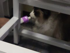 -零纪元VR体验馆·桌游(黄浦店)