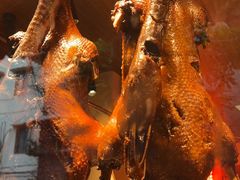 -春梅里卤鹅馆·47年老字号(中山路店)