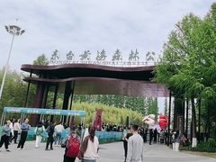 -黄海国家森林公园