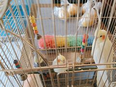 -潇湘·永州会馆(百子湾店)