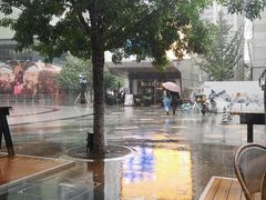-星巴克臻选(沈阳万象城店)