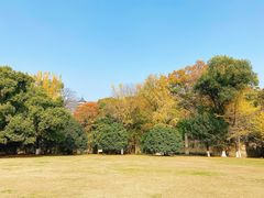 -灵谷景区