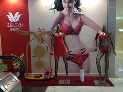 陈列-王府井百货(总府店)