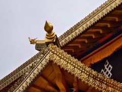-四川郎木寺镇