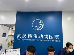 -伟伟宠物医院·CT影像中心·瑞派犬猫综合性门诊(汉口总院)