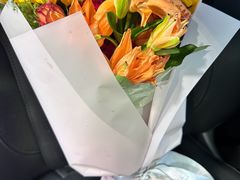 -天猫养车贴膜轻改·蓝电(优匹康桥东路店)