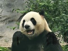 -石排湾郊野公园