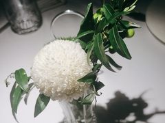 -佐度王子扒房(天鹅湖店)