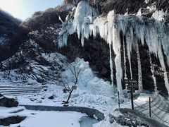 -少华山国家森林公园
