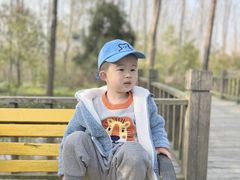 -合肥滨湖国家森林公园