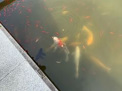 -中国西峡恐龙遗迹园