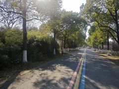 -南湖湿地公园
